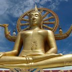 Journey to Enlightment