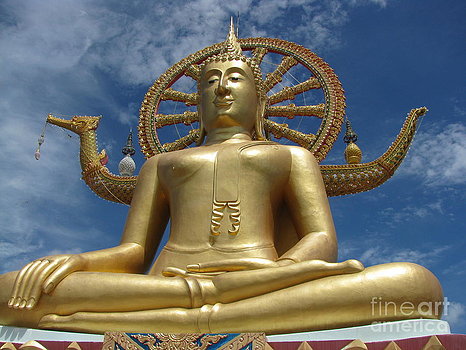 journey-to-enlightenment-stephanie-woerndle