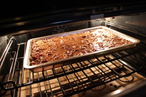 Turtle Cookies, Gluten Free, Cup4Cup