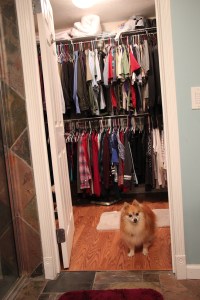 Stitch Fix, Boo the Pomeranian, Not Impressed