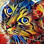 Because the world needs more cat pics