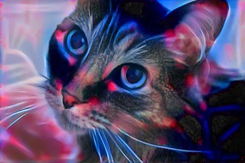 a77ceef5-4475-46b2-8aa2-4128ff02a338