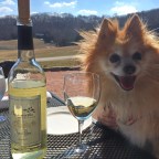 Pup Friendly Winery