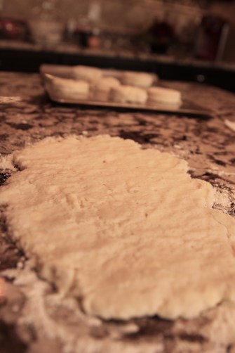 Gluten Free Cinnamon Biscuits