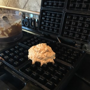 Grain Free Waffles, Gluten Free