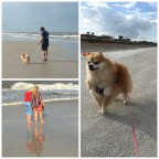 it could’ve been worse