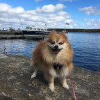 Door County Wisconsin